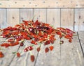 Red hot chilli peppers dried on a wooden background. We grow and dry ourselves. Organic products. Royalty Free Stock Photo