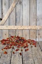 Red hot chilli peppers dried on a wooden background. We grow and dry ourselves. Organic products. Royalty Free Stock Photo