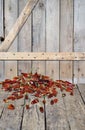 Red hot chilli peppers dried on a wooden background. We grow and dry ourselves. Organic products Royalty Free Stock Photo