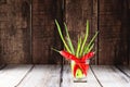 Red hot chilli peppers and green onions in glass of water Royalty Free Stock Photo