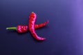 Red hot chilli peppers isolated on the dark background with a copy space Royalty Free Stock Photo