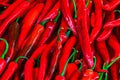 Red hot chilli peppers pattern texture background. Close up. Lan Royalty Free Stock Photo