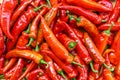 Red hot chilli peppers pattern texture background. Close up. Landscape. A backdrop ofRed hot chilli peppers. Street Royalty Free Stock Photo