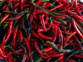 Red hot chilli peppers pattern texture full frame background. Backdrop of fresh Red and black hot chilli peppers