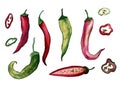 Red hot chilli peppers set. Hand drawing watercolor. Can be used for postcards, stickers, encyclopedias, menus, ingredients of