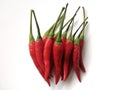 Red hot chilli on white background Royalty Free Stock Photo