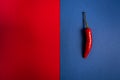Red hot chilly pepper on blue background Royalty Free Stock Photo