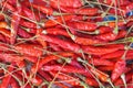 Red hot dried chilli nature texture background, dry Royalty Free Stock Photo