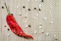 Red hot dried pepper, sea salt, white and black peppercorns on a bamboo serviette Royalty Free Stock Photo
