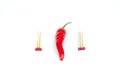 Red Hot Fiery Chili Pepper Royalty Free Stock Photo