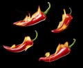 Red hot fire chili peppers