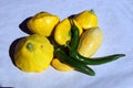 Red hot green chili peppers and yellow crookneck squash Royalty Free Stock Photo