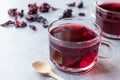 Red Hot Hibiscus Tea in a Glass Mug with Dry Hibiscus Tea Leaves. Royalty Free Stock Photo