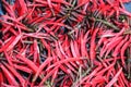 Red Hot Mexican Chili Peppers on Market Stall Royalty Free Stock Photo