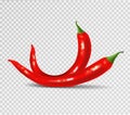 Red hot natural chili pepper pod realistic image with shadow vector illustration. Royalty Free Stock Photo