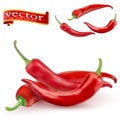 Red hot natural chili pepper pod realistic image with shadow vector illustration. Royalty Free Stock Photo