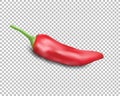Red hot natural chili pepper pod realistic image with shadow vector illustration. Royalty Free Stock Photo