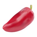 Red hot natural chili pepper pod realistic vector illustration. Royalty Free Stock Photo