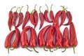 Red hot paprika Royalty Free Stock Photo