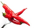 Red hot pepper Royalty Free Stock Photo