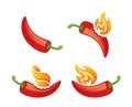 Red hot pepper Royalty Free Stock Photo