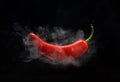 Red hot pepper Royalty Free Stock Photo