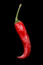 Red hot pepper on a black