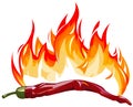 Red hot pepper with flames Royalty Free Stock Photo