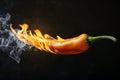 Red Hot Pepper With Flames