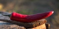 Red hot pepper on a natural background lies on a wooden box in the open air.