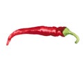 Red hot pepper