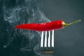 Red hot peppers on a fork in real smoke. vegetative vitamin food