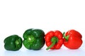 Red hot peppers on a market stall no people stock photo Royalty Free Stock Photo