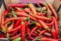 Red hot ripe pepper. Background or texture of red hot peppers. Collection and sale of hot peppers. Close-up Royalty Free Stock Photo