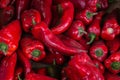 Red hot ripe pepper. Background or texture of red hot peppers. Collection and sale of hot peppers. Close-up Royalty Free Stock Photo