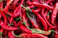 Red hot ripe peppers. Close-up. Pepper background or texture. Royalty Free Stock Photo