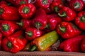 Red hot ripe peppers. Close-up. Pepper background or texture. Collection and sale of peppers Royalty Free Stock Photo