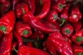 Red hot ripe peppers. Pepper background or texture. Close-up. Collection and sale of peppers Royalty Free Stock Photo