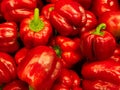 Red Hots! Royalty Free Stock Photo