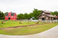 A red house in the sheep farm