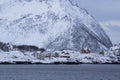 Red houses near Bergsfjorden-shoreline Royalty Free Stock Photo