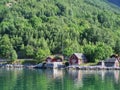 Red houses, Norwegian village, Water, forest fjord on a Sunny day, tourism, travel in Norway Royalty Free Stock Photo
