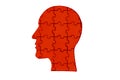 Red human head made from wooden puzzle pieces isolated on white Royalty Free Stock Photo