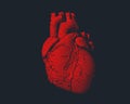 Red human heart illustration on dark BG Royalty Free Stock Photo