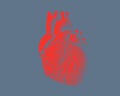 Red human heart illustration on gray BG Royalty Free Stock Photo