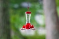 Red hummingbird feeder in trees