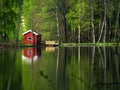 The red small hut Royalty Free Stock Photo