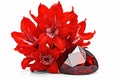 red hyazinth, jacinth, ruby, hyacinth, garnet cutout, png file of isolated cutout precious stone with shadow on transparent