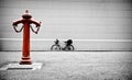 Red Hydrant Royalty Free Stock Photo