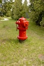Red Hydrant. Royalty Free Stock Photo